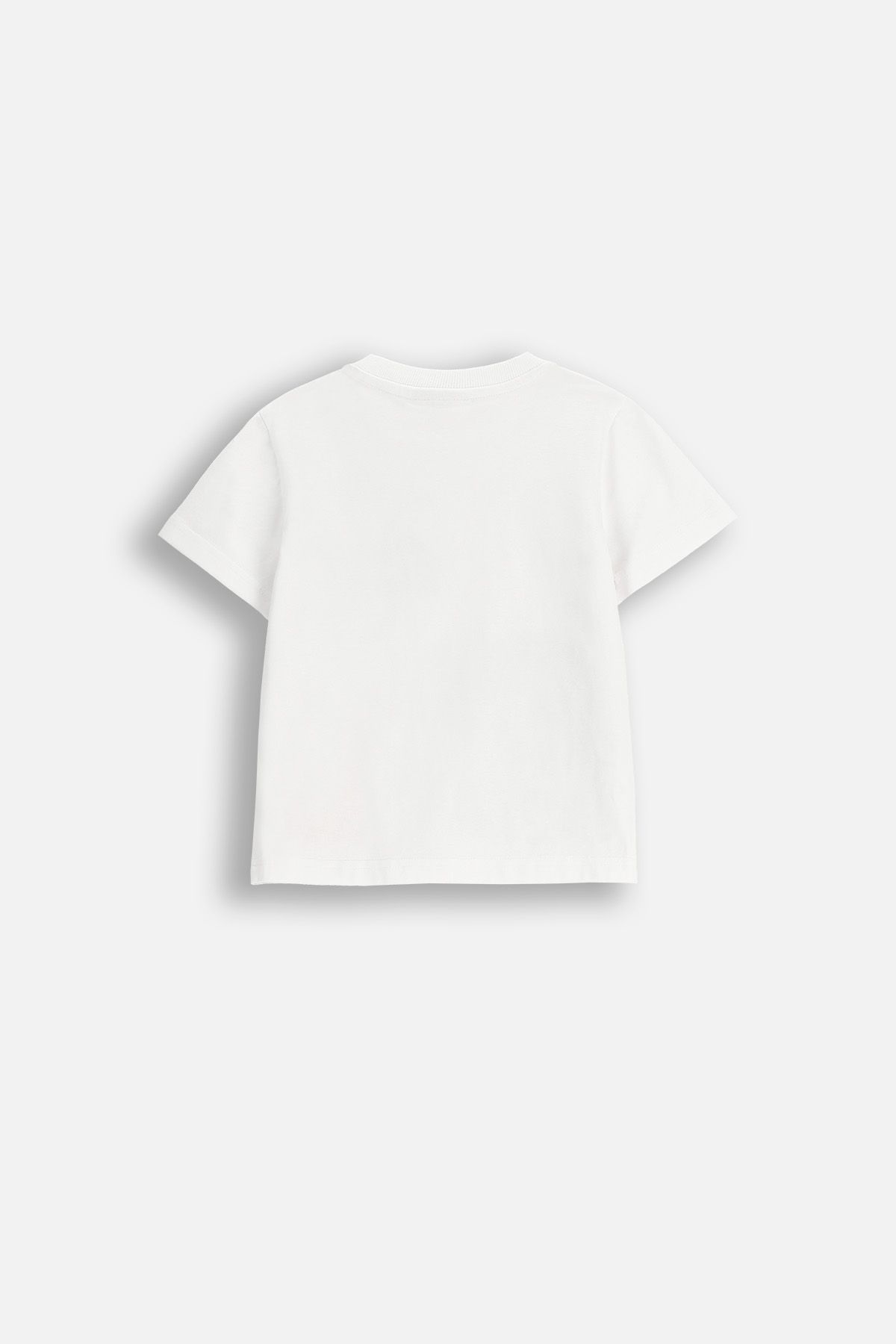 T-shirt with short sleeves White with animal print - Coccodrillo