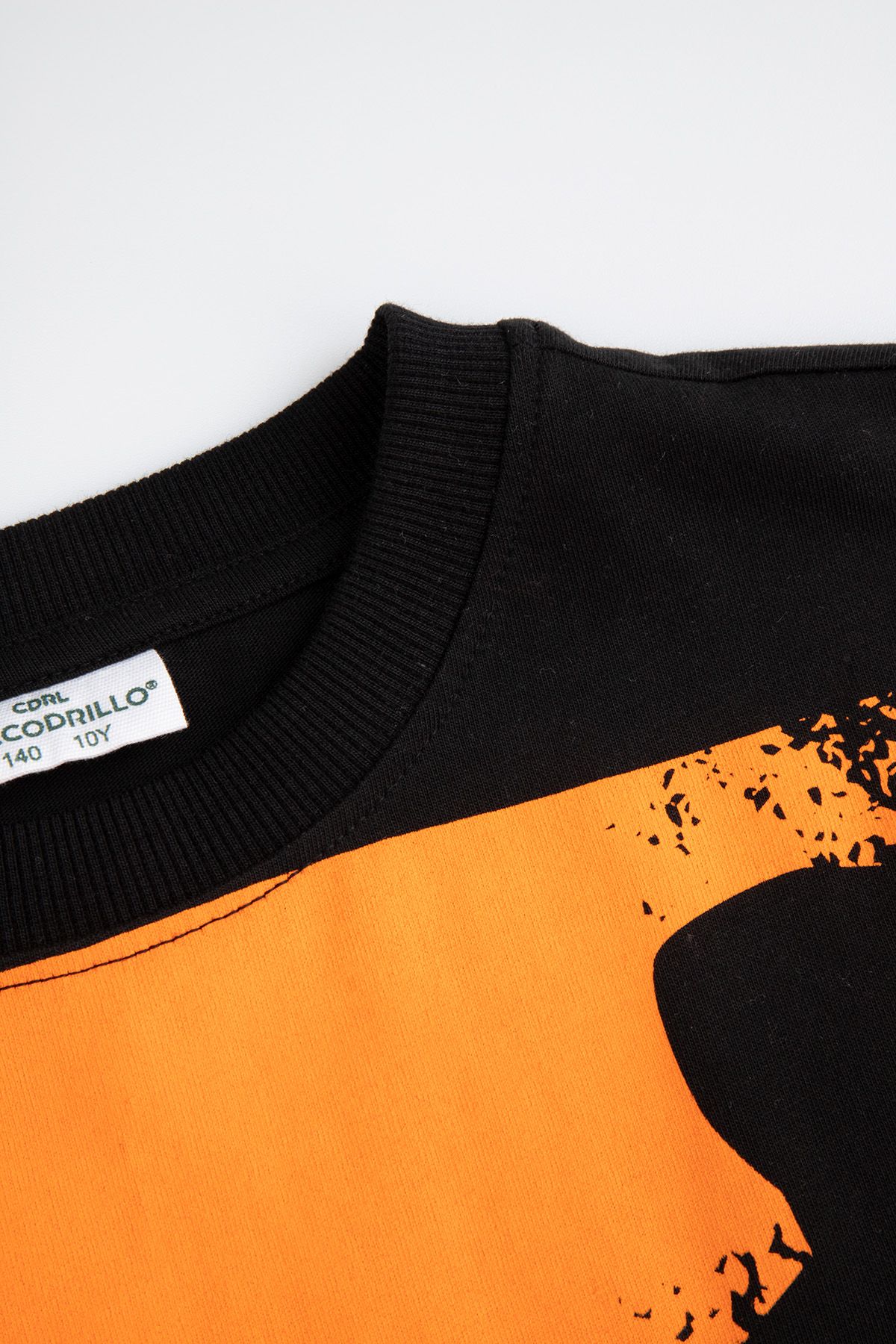 cocco composition-a Tシャツ Coccoが手がけるアパレルブランドComposition-aから初の