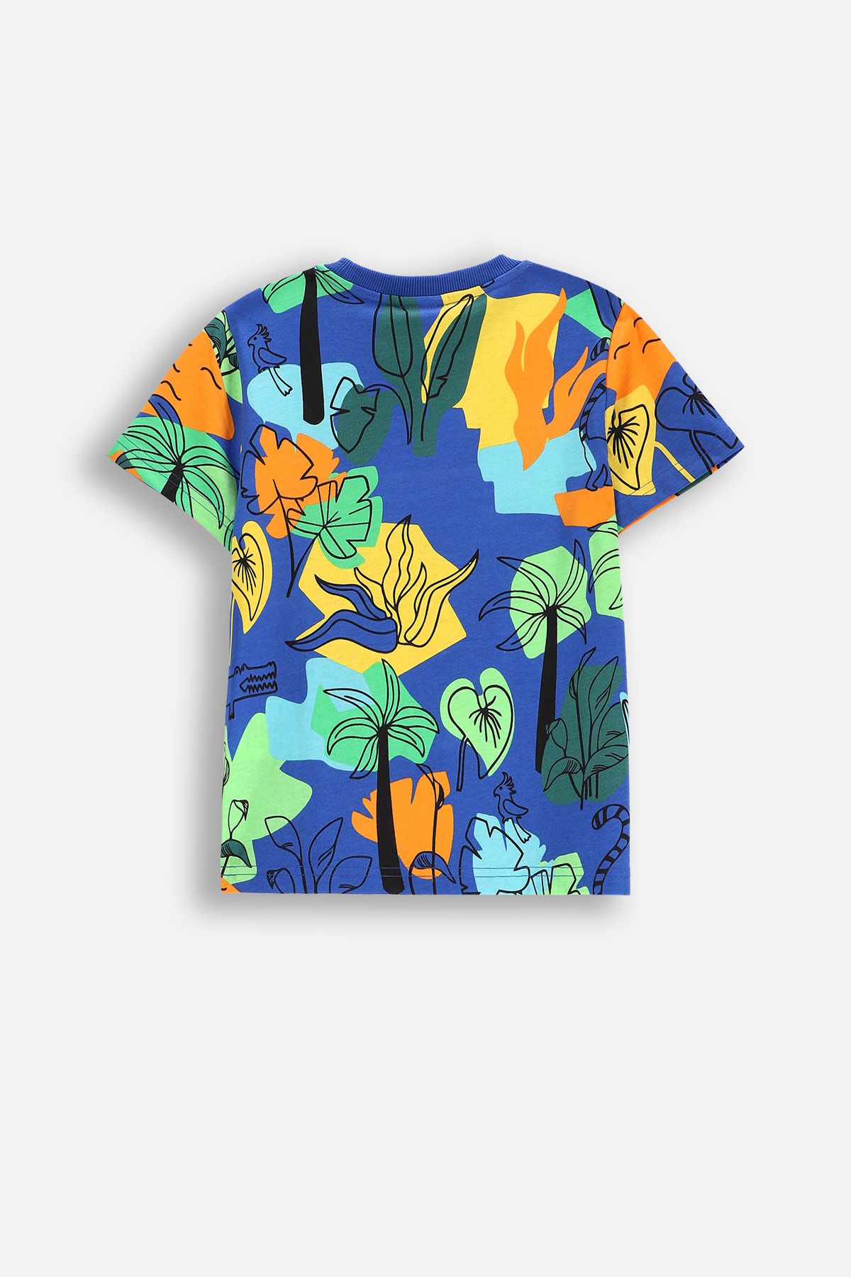 Tシャツ・カットソー ASCLO Boys Printed Short Sleeve T Shirt 09.JPG