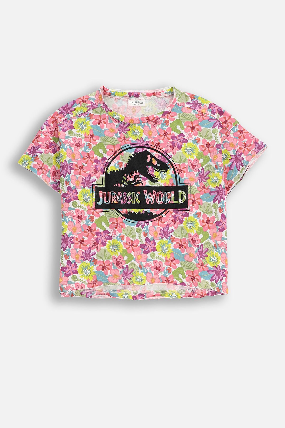 Printed Shirt T Shirt Jurassic Park H&m T-shirt With Short Sleeves