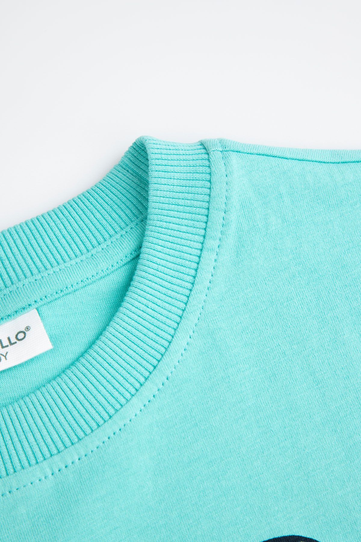 Tシャツ・カットソー ASCLO 90S Angora High Turtle Neck T (3color) T-shirt z krótkim rękawem turkusowy z nadrukiem dinozaura