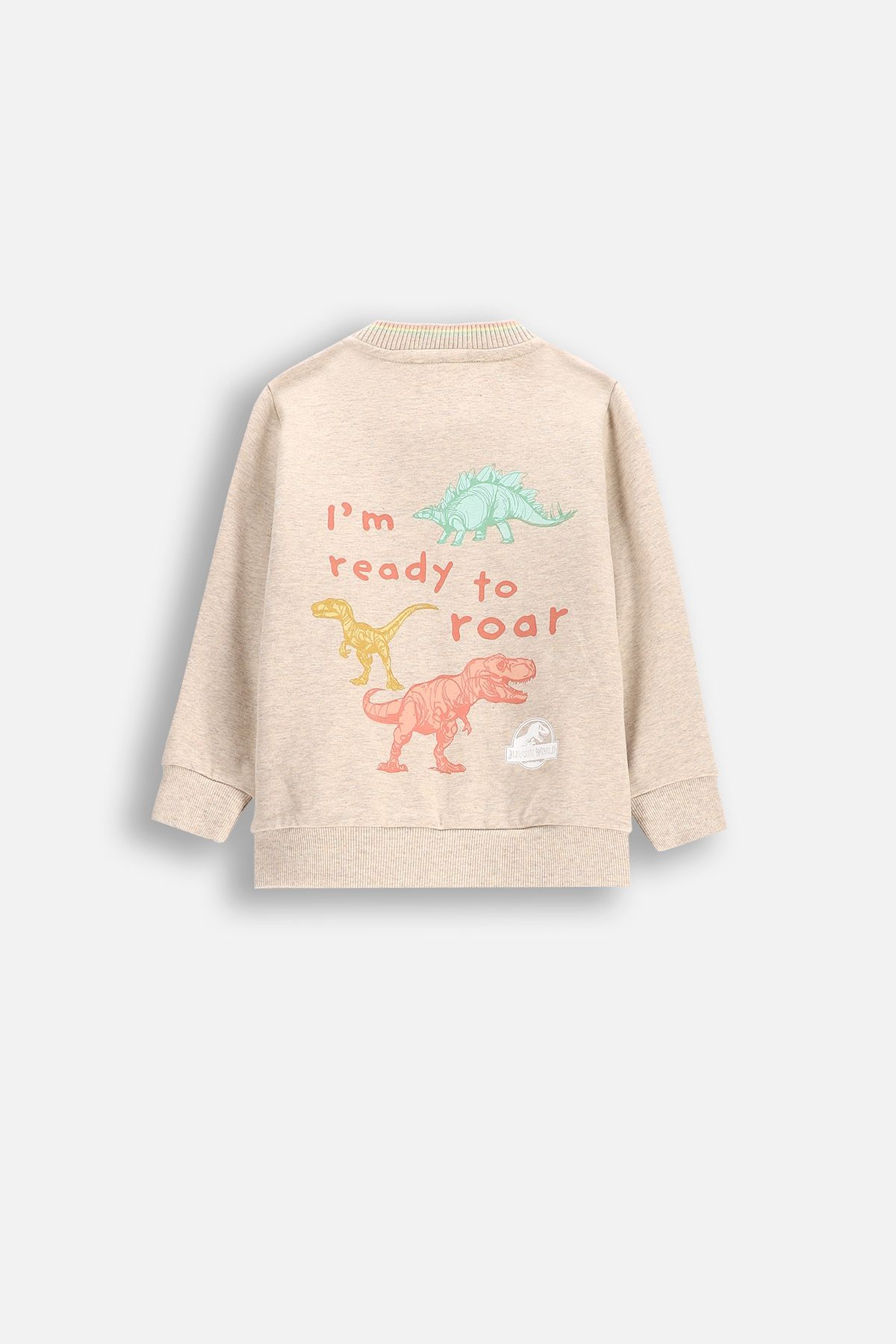 dino13様 Bluza rozpinana szara bez kaptura z kieszeniami licencja