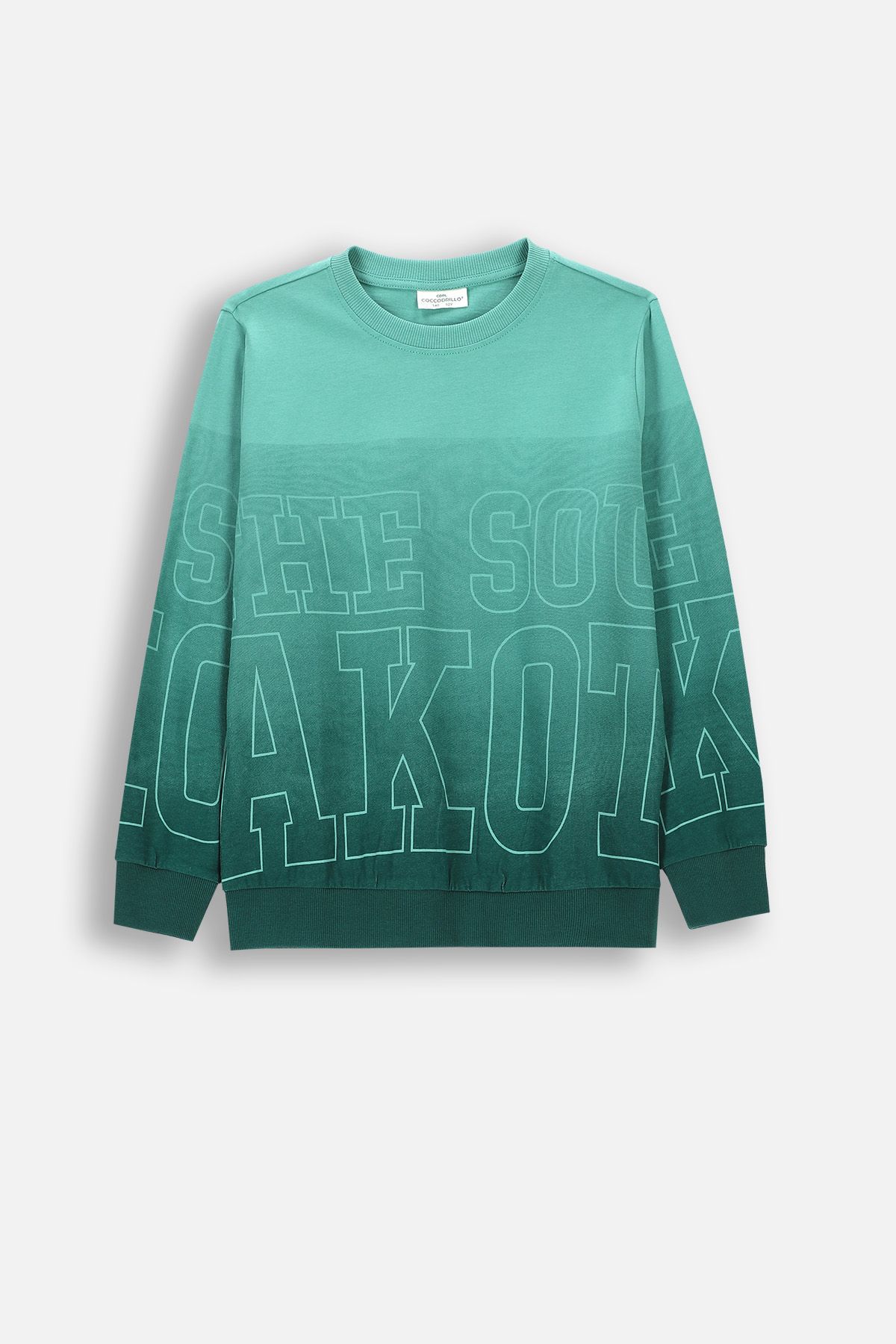 [GROVE]★22FW GROVRARY T-SHIRTS 22F/W GROVRARY T-SHIRTS [4COLOR] - 그로브