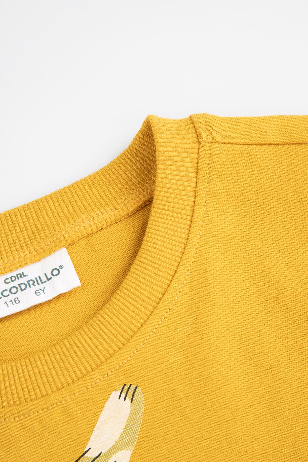 シャツ No.1304 C stripe half SHIRT (4color) T-shirt z krótkim rękawem miodowy z nadrukiem licencja KOCIA