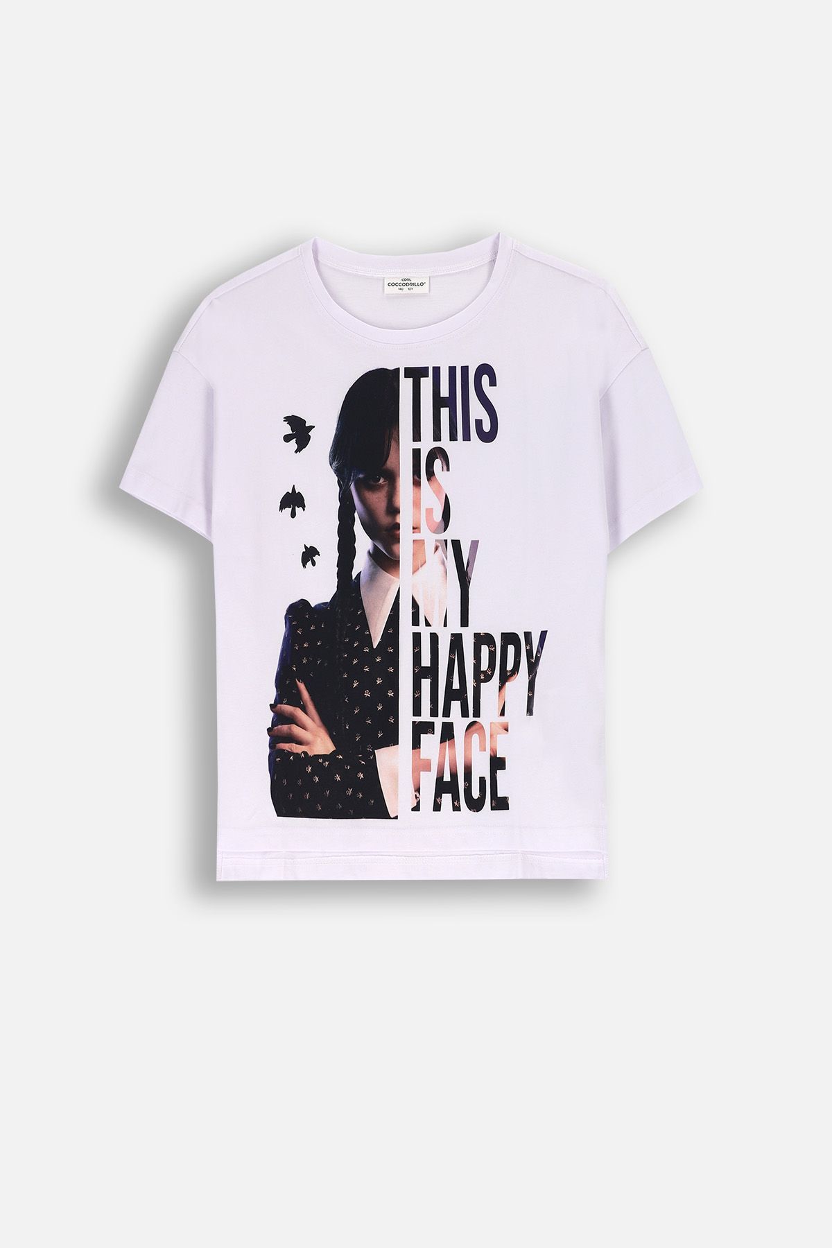 T-shirt z krótkim rękawem szara z nadrukiem licencja