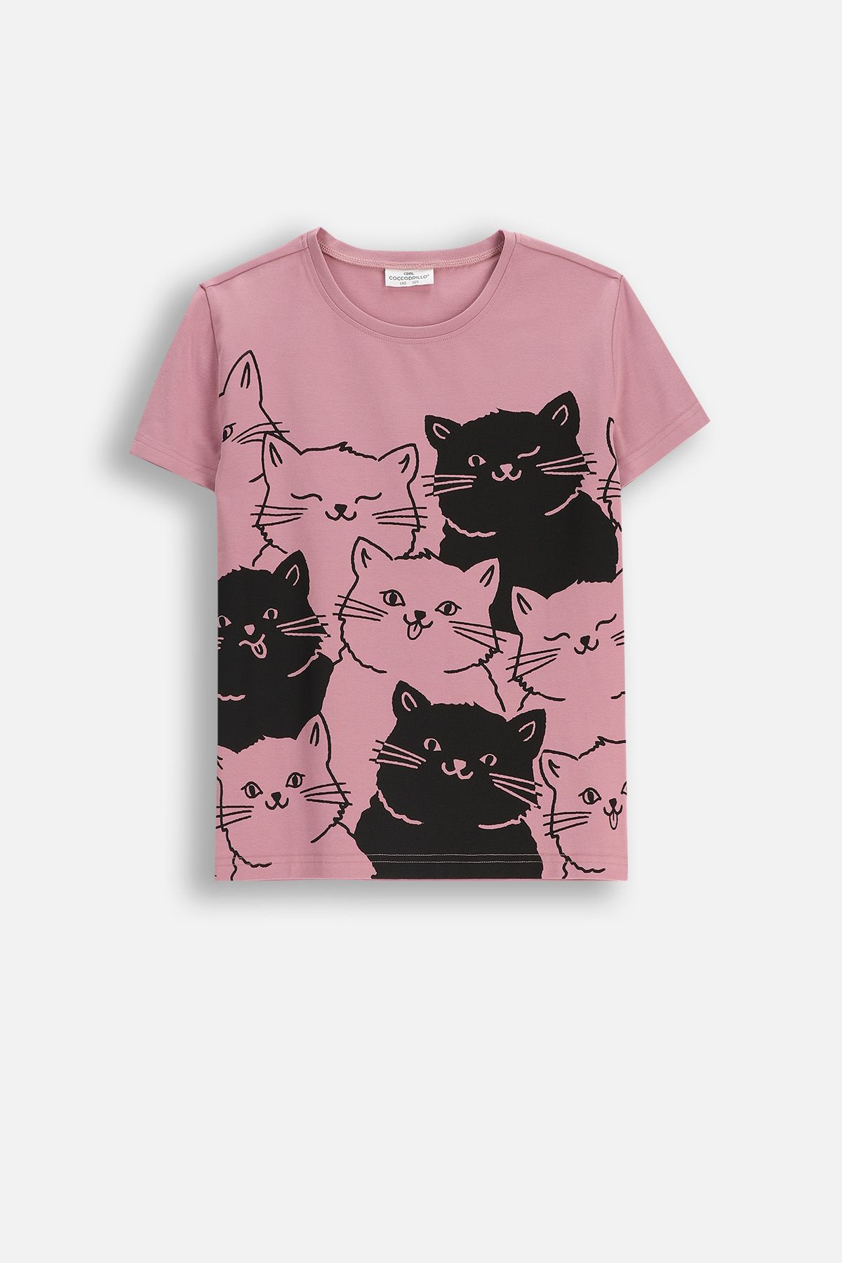 T-shirt with short sleeves Brown with cat print - Coccodrillo