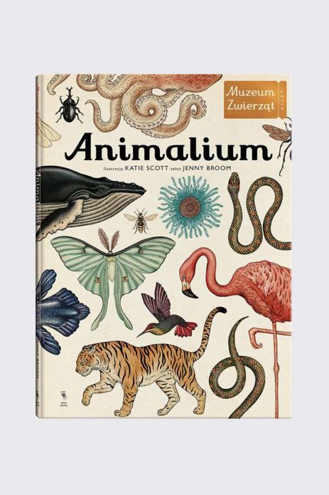"Animalium. Muzeum zwierząt" książka edukacyjna od 7 do 12 lat